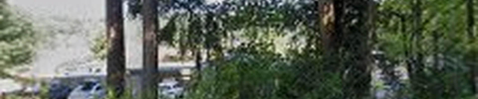 Blue Ribbon Tree & Landscape Specialists
