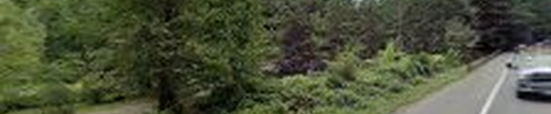 Gator Landscaping and Design