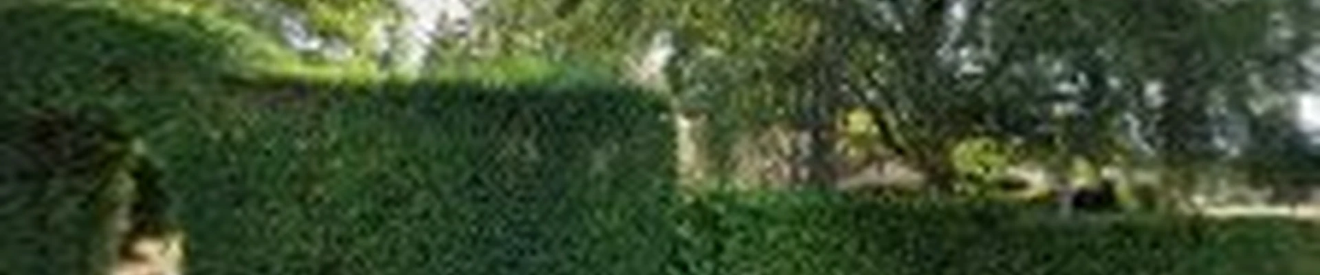 TreeFrog Lawn & Landscape