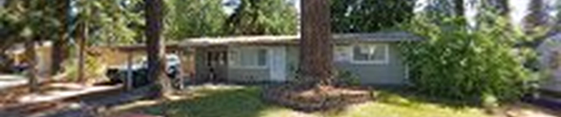 Sandoval’S landscaping services