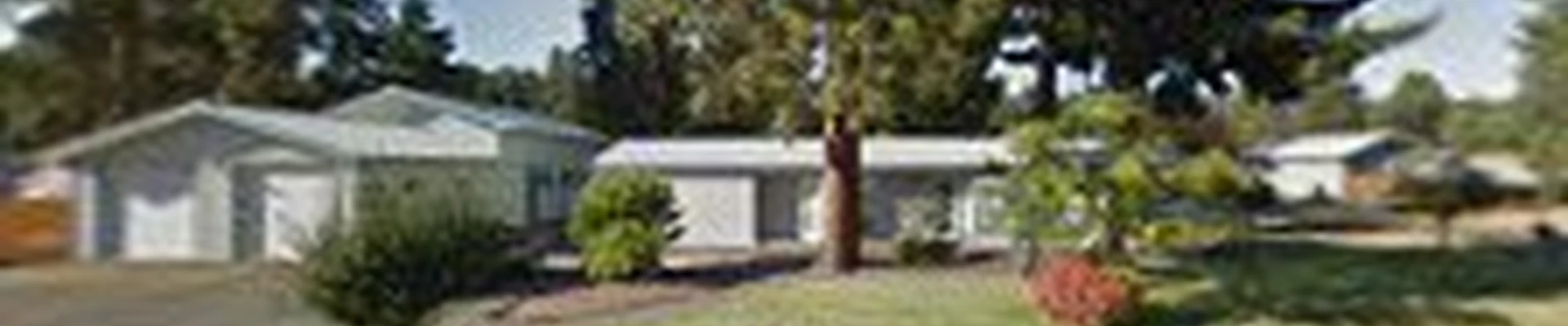 McGuire's Landscaping and Winter Service's