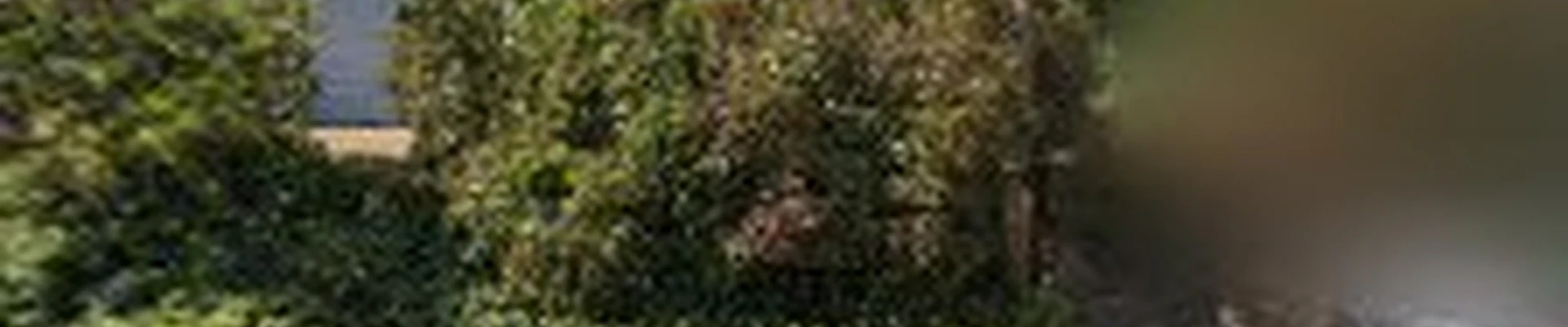salmon bay landscaping