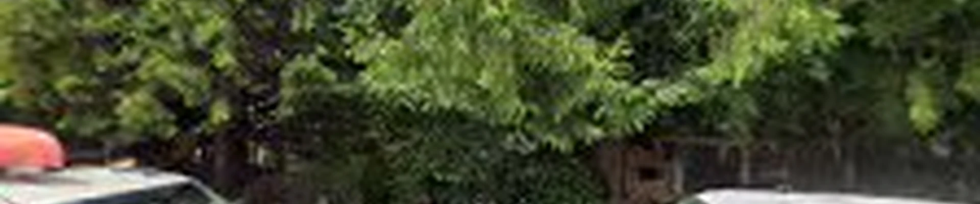 Stone Soup Gardens