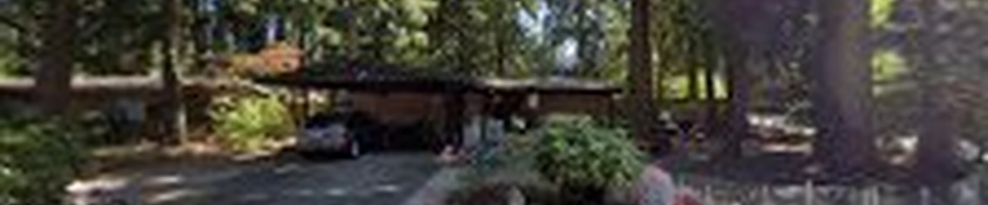 C & C Irrigation & Lawn LLC