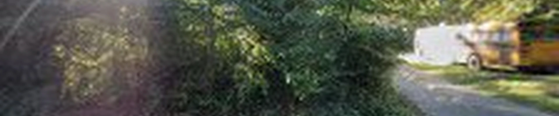 North Creek Landscape LLC