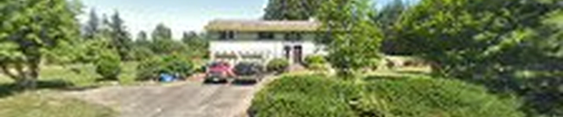Mendoza Landscaping LLC