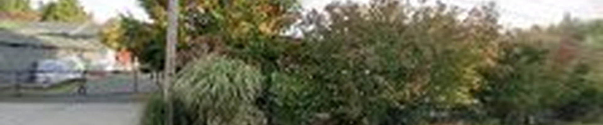 Cooleen Gardens