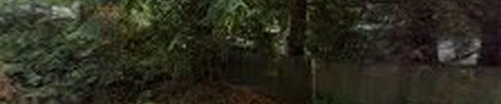 Island Details Landscape & Maintenance