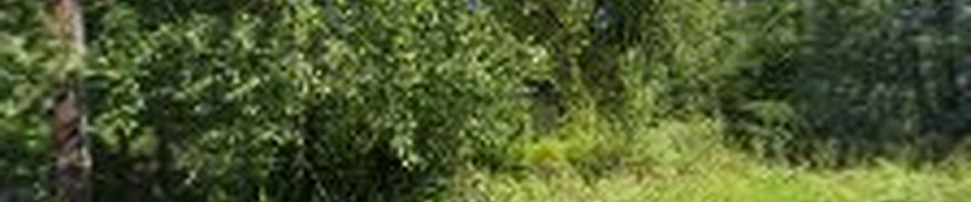 Kinssies Landscaping