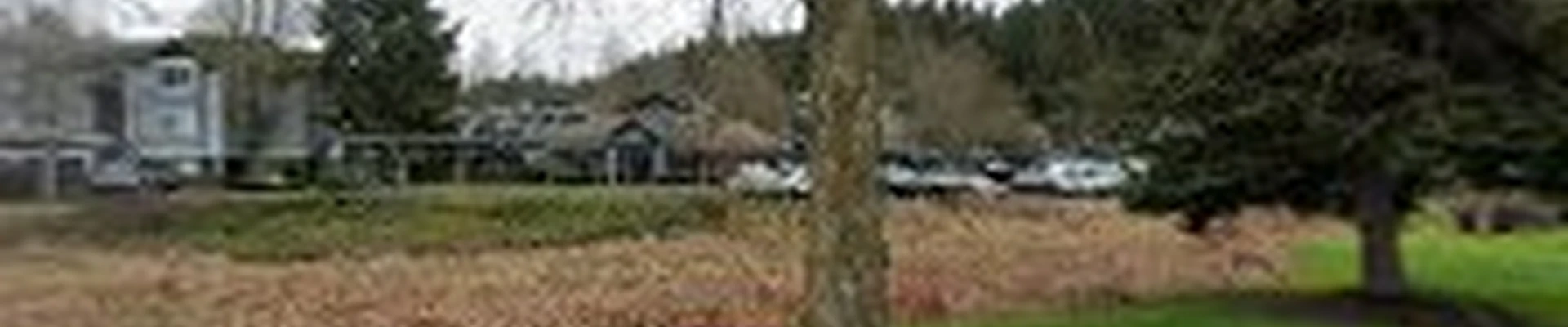 Moreno Landscaping LLC