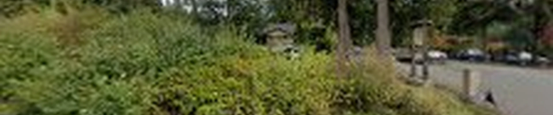 A-1 Landscaping & Construction Inc