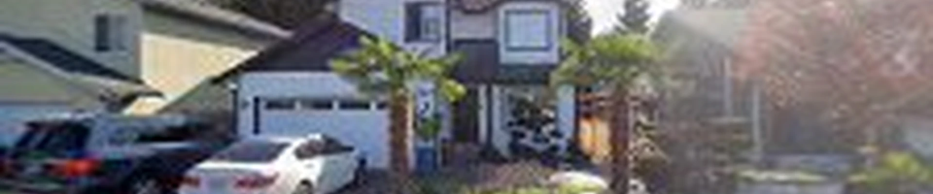 TNT construction & Landscaping llc