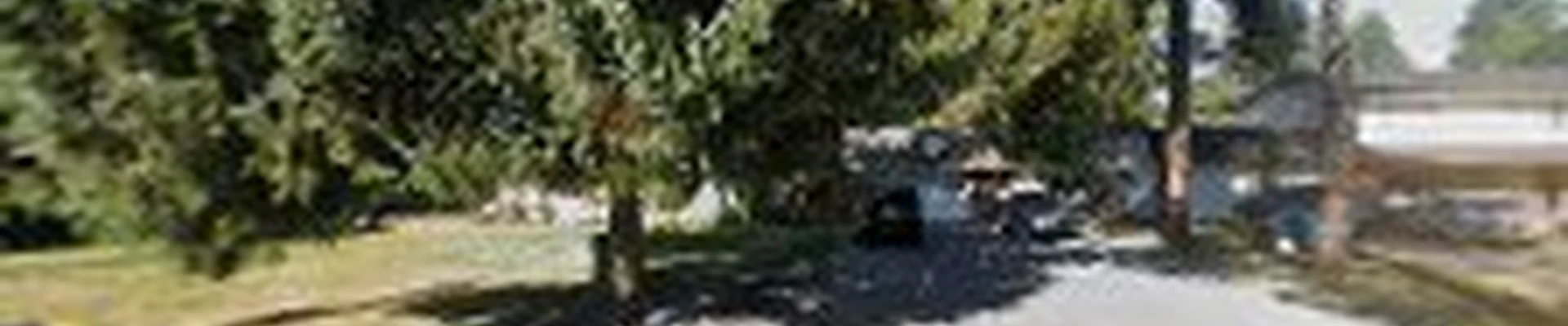 Lawn Love Lawn care Landscaping services