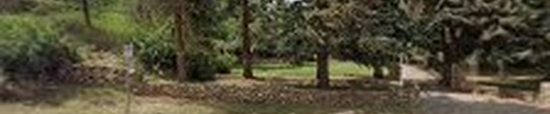 Bear Creek Landscape