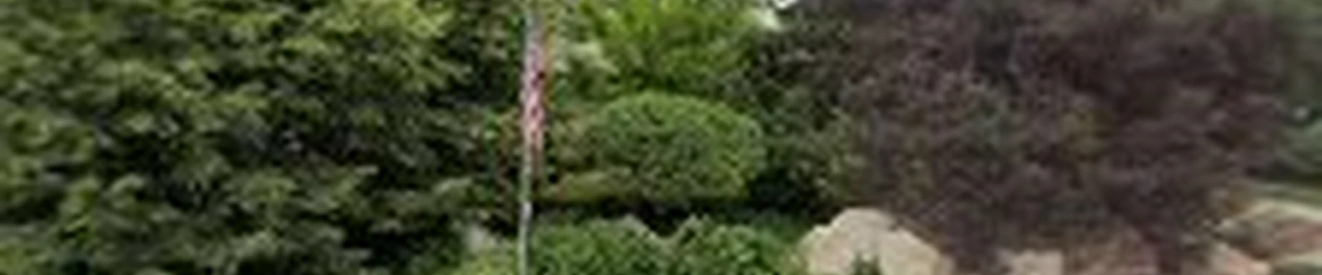 Dave's Landscape & Construction, Inc