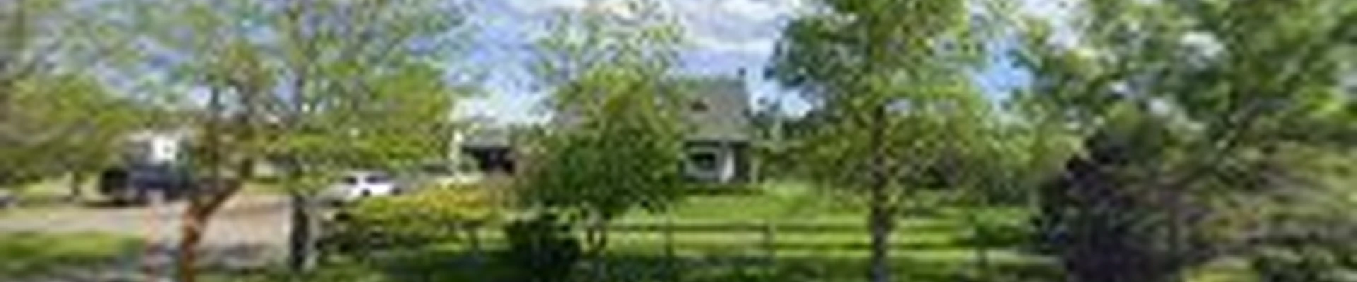 DSW Landscape Services