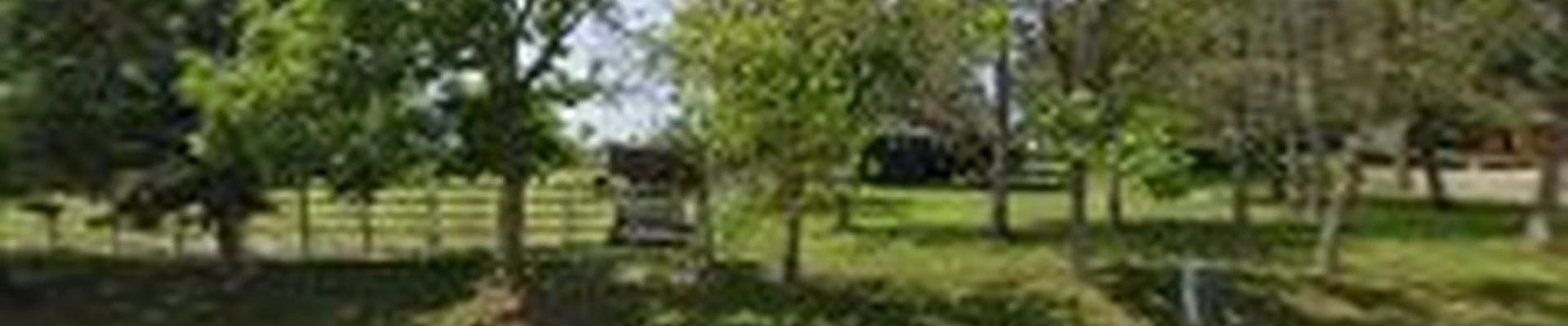 Xander Landscaping