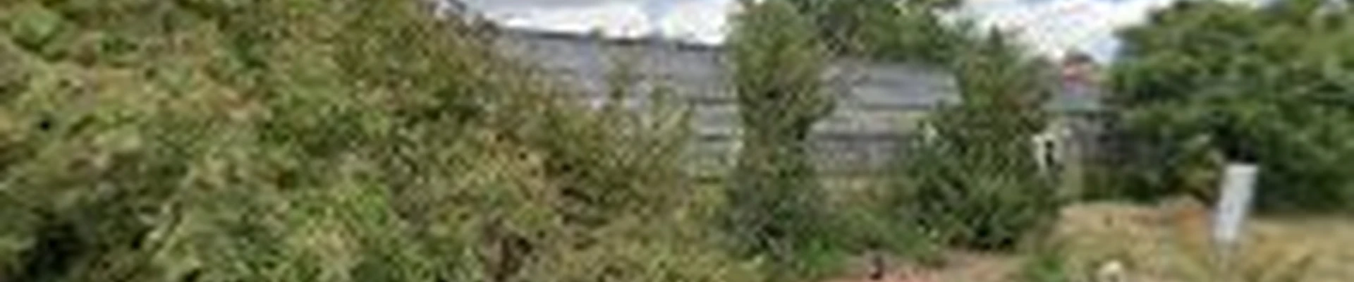 Jared's Nursery, Gift and Garden