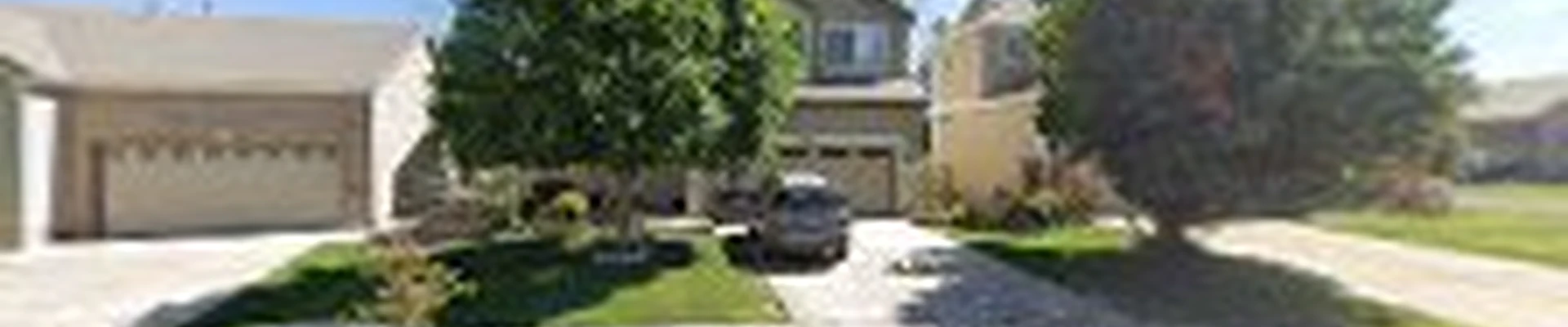 Las Palmeritas Landscaping