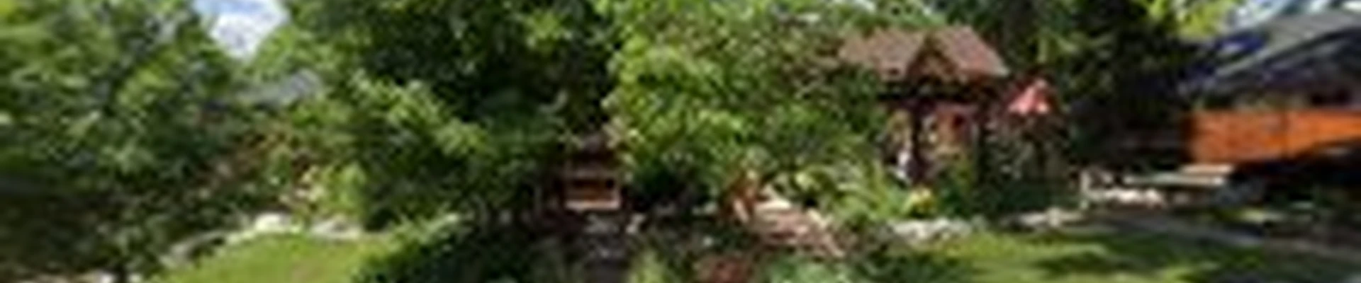 Wild Irishman Tree and Landscape - Denver Landscaping