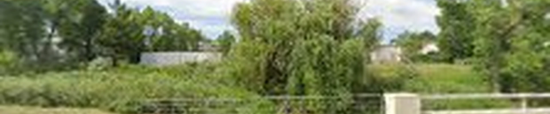 Diggable Designs Landscape & Gardening