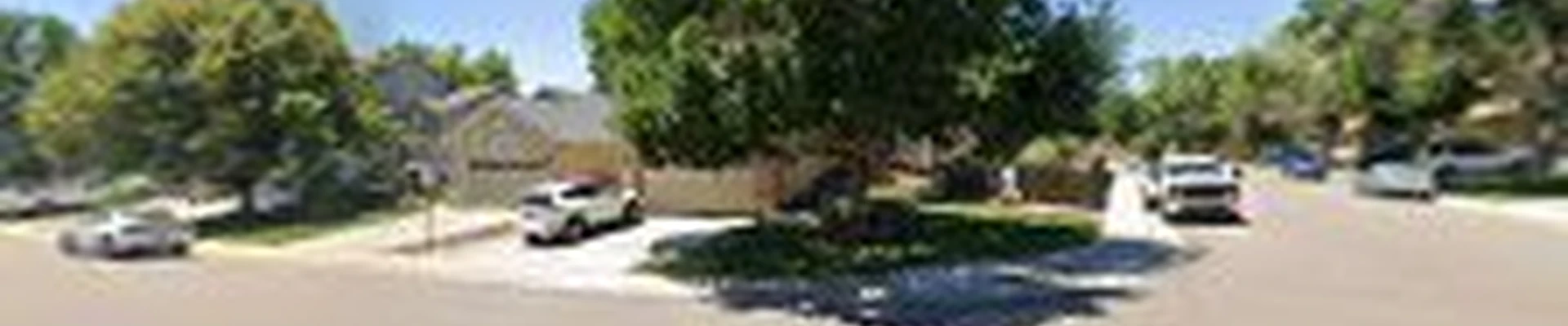 DANG Lawn Service & Landscaping (DLS)