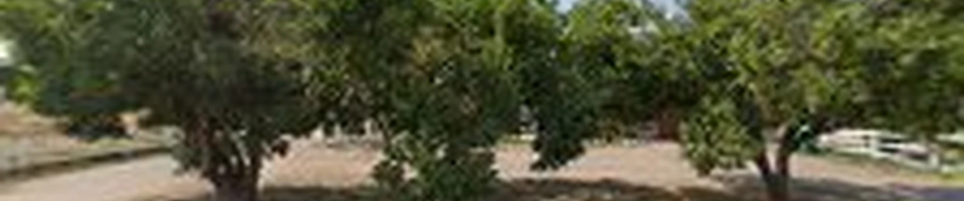 Ascend Landscaping & Irrigation