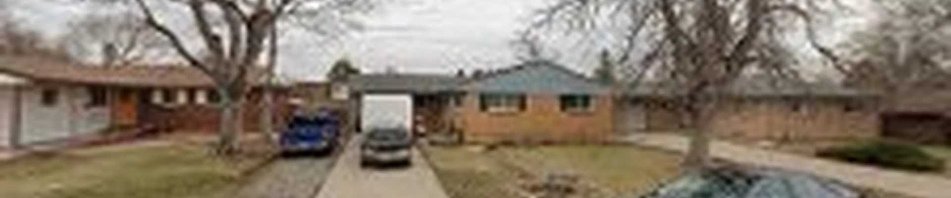 Tree Service & Landscaping Los Primos LLC