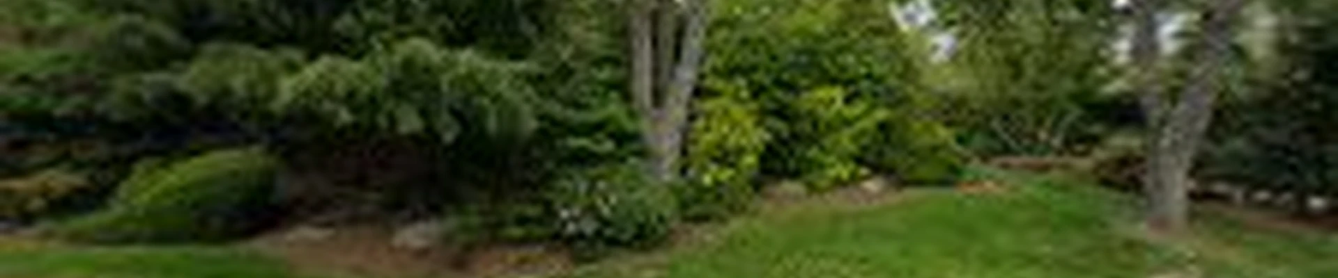 Classic Stonescaping & Gardens
