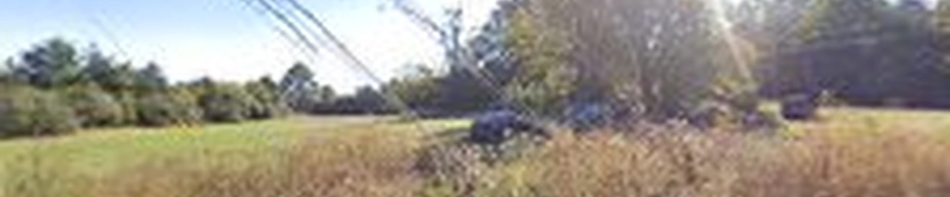 Rodriguez Landscaping Services