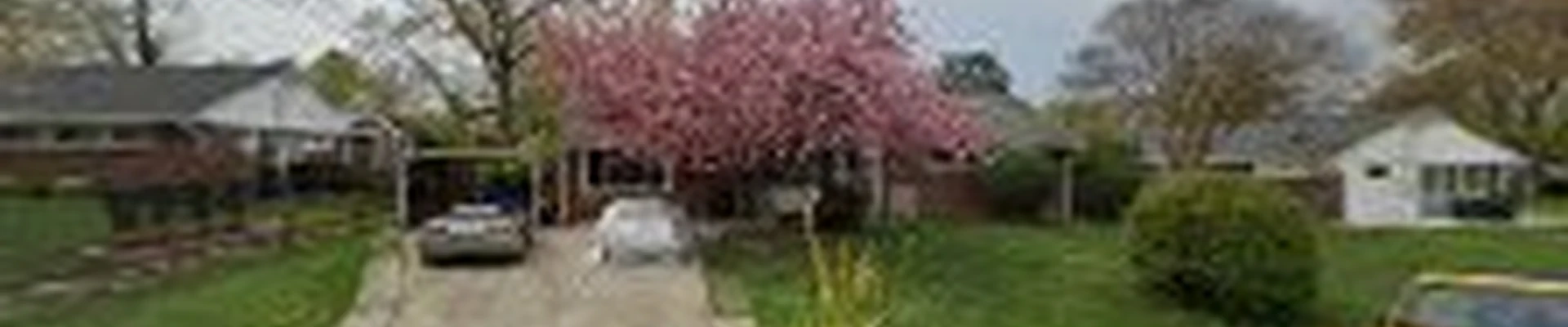 Virginia Tree Care & Landscaping