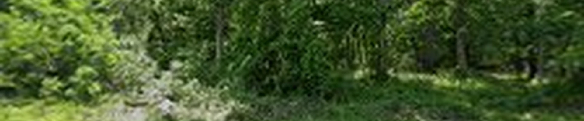 HMS TREE & LANDSCAPING LLC