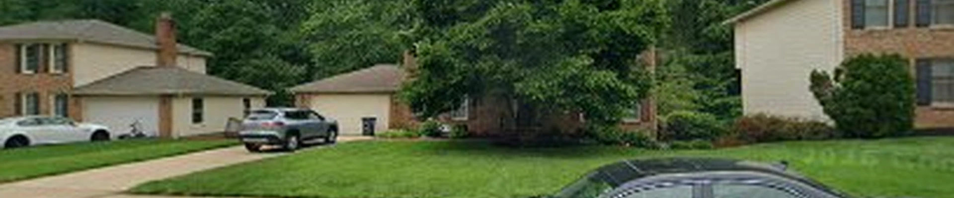 Tree Landscaping LLC
