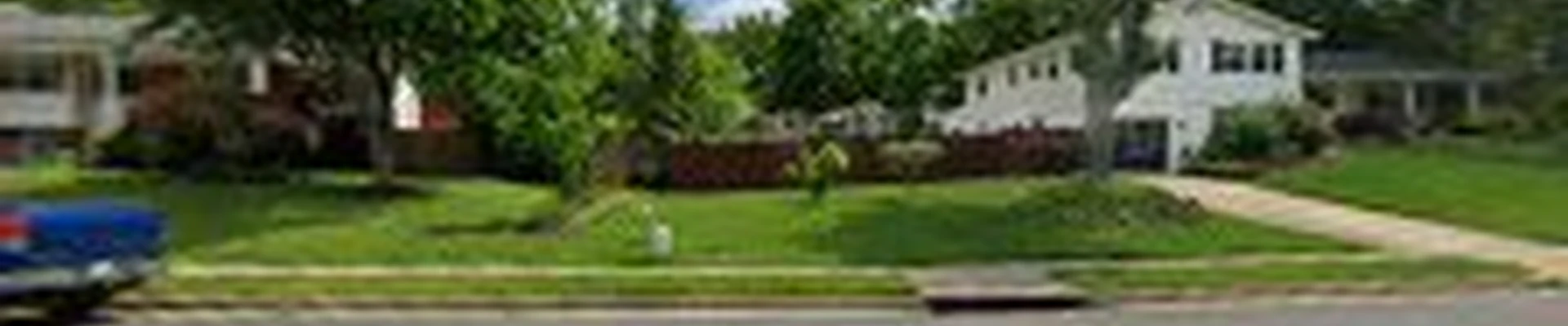 RS Tree & Landscaping Svc Inc