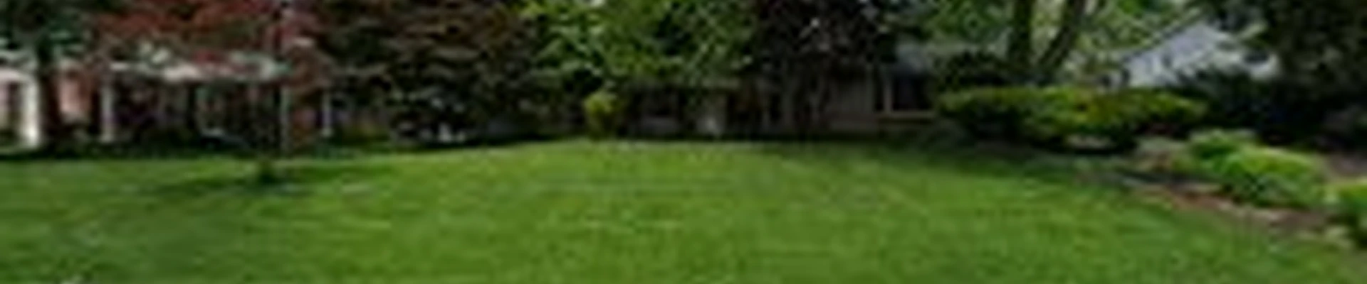 Sergio Escobar Lawn care and Landscaping