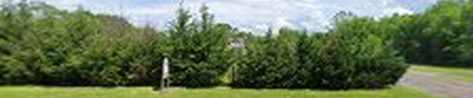 Firewood Unlimited Landscape and Fallen Tree Removal Services