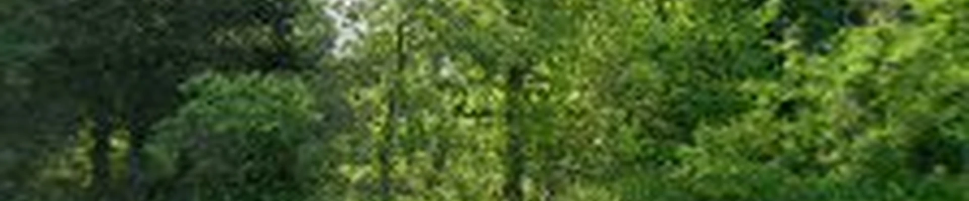Mabrys Landscaping
