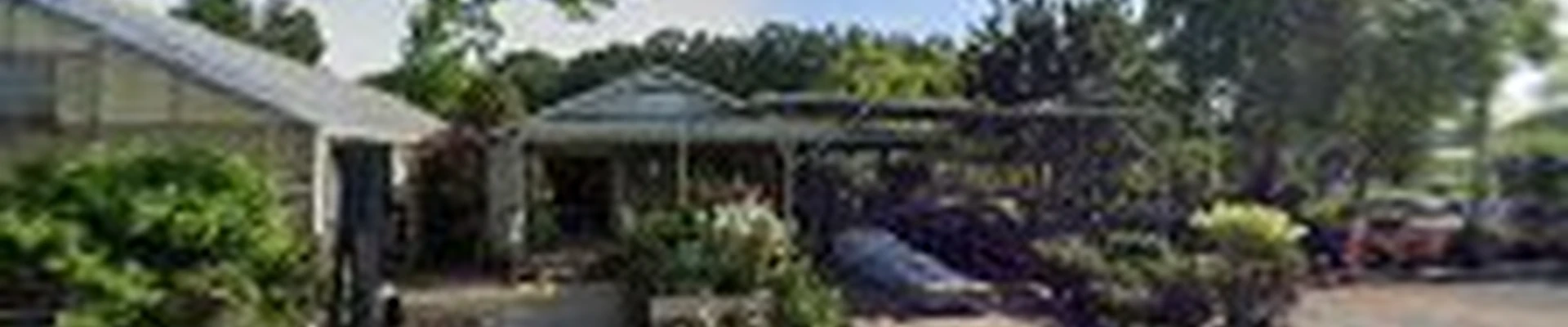 Wintergreen Landscape Nursery