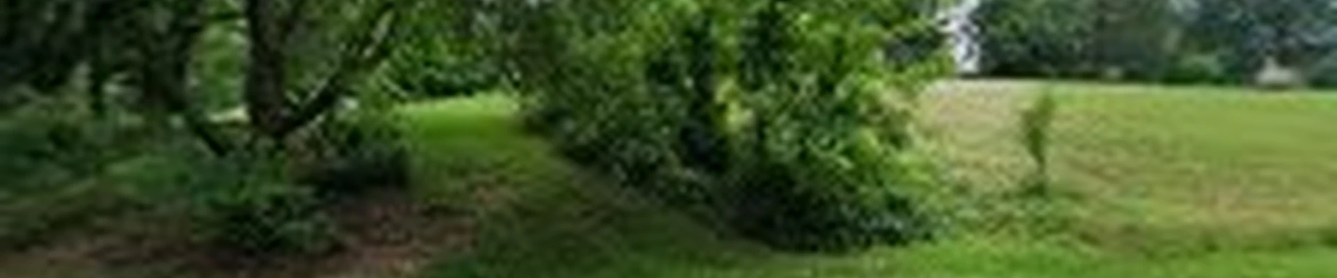 Scenic Landscaping, Inc.