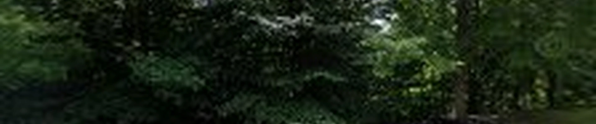 Spinner Systems LLC Landscaping irrigation and excavation
