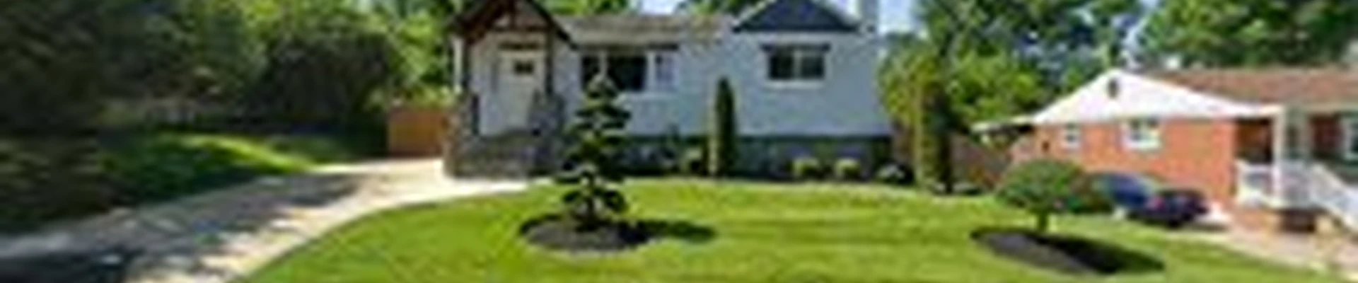 Orellana Lawn & Tree Services