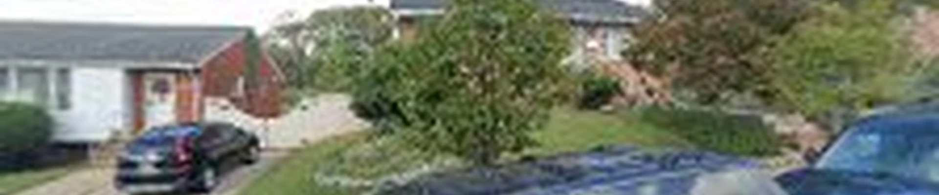 Enriquez Landscapes