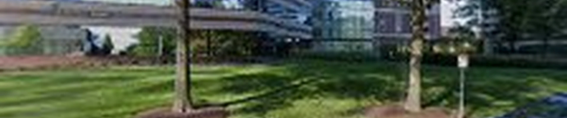 Solar Landscaping & Tree Service