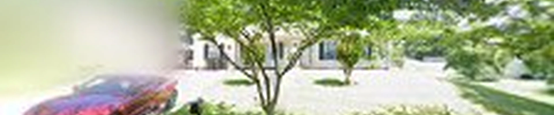 Alonzo Landscapes