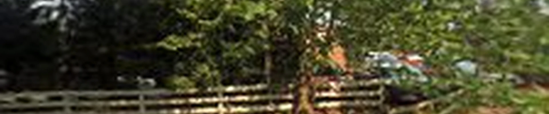 Evergro Landscaping, Inc.