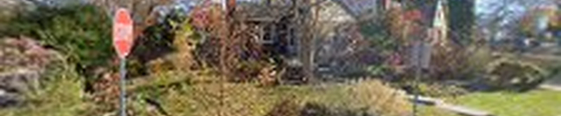 Martin Lawn and Landscaping