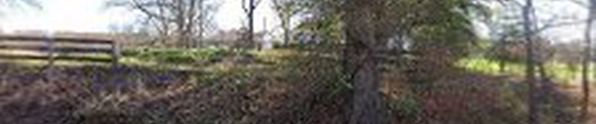 Dogwood Creek Landscapes Inc.