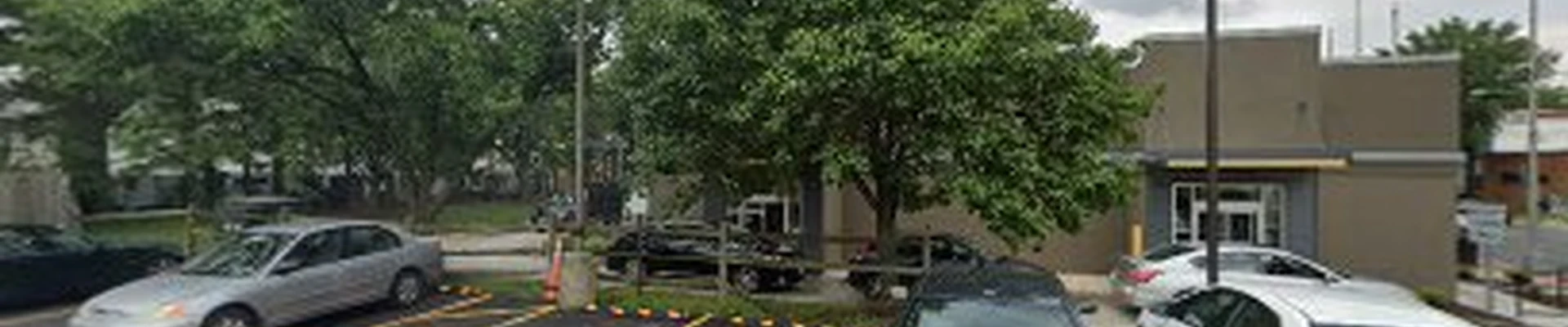 Junk Removal Service and Green Landscaping and more.