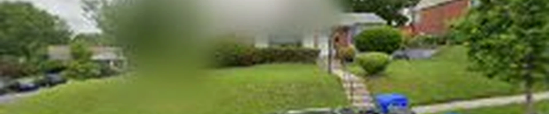 David Landscaping Services