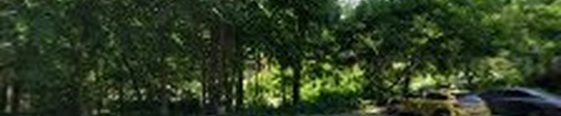ML Landscaping Services LLC